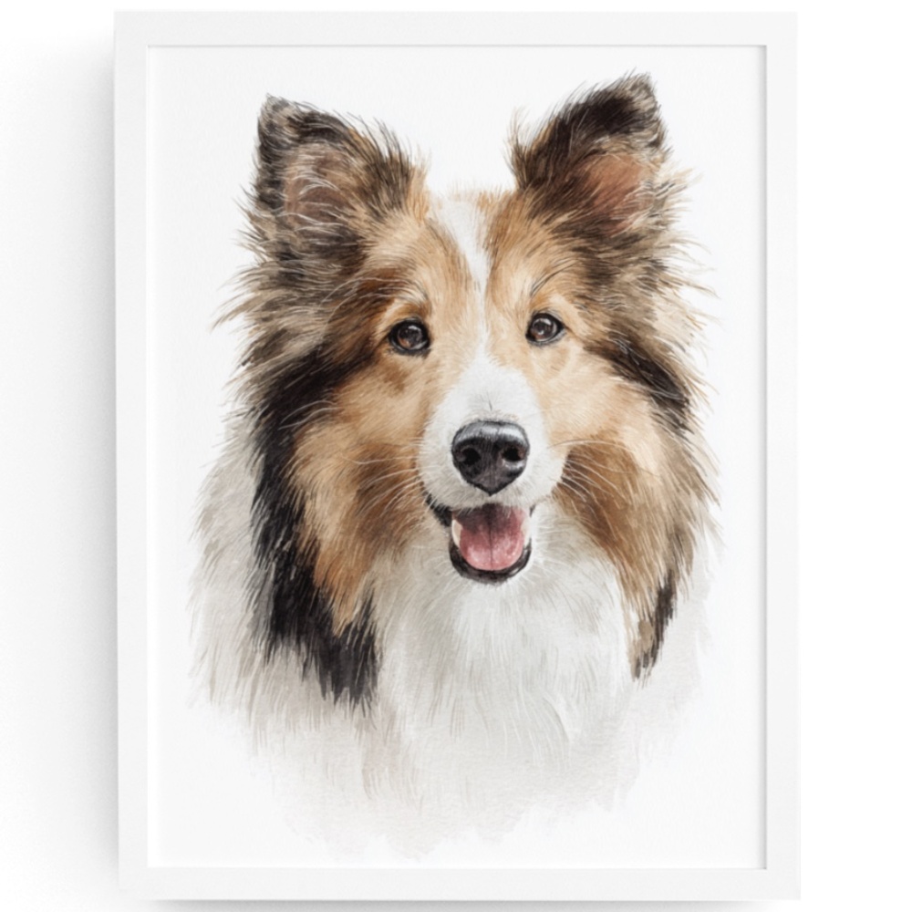 Watercolor Sheltie Dog Portrait Wall Art Print - Illustration Poster Unframed